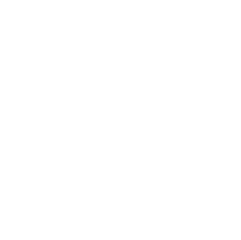 LPM GROUP S.p.A.