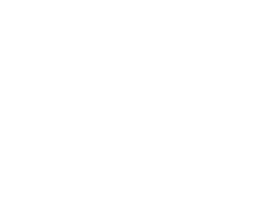 LPM GROUP S.p.A.
